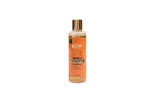Mend It Frizz and Split End Control Sulfate Free Shampoo